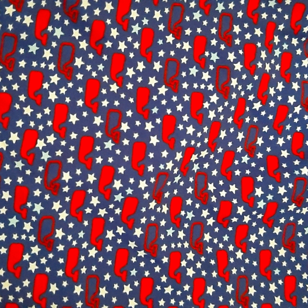 Vineyard Vines bathing suit girls XL